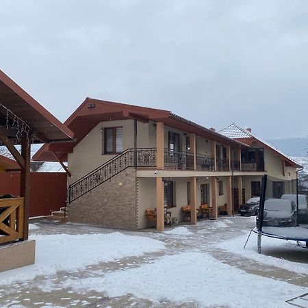Садиба У Дохтора Відпочинок У Карпатах Golubinoye Esterno foto